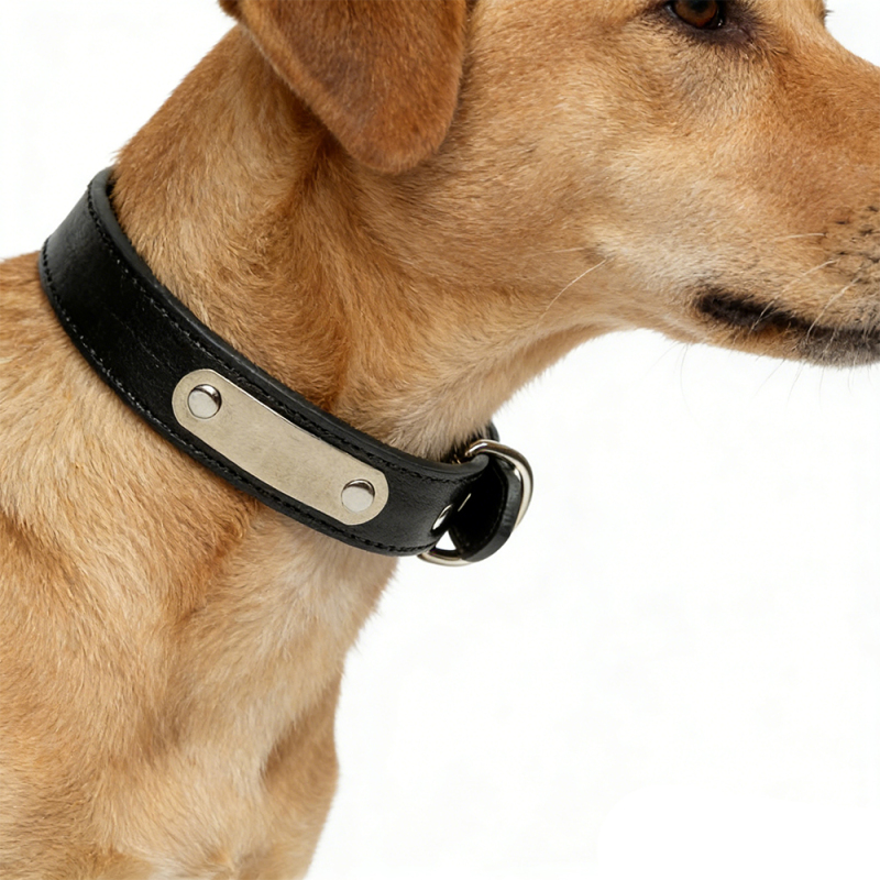 Wholesale Custom Logo Cheap Adjustable PU Leather Dog Collar