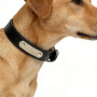 Wholesale Custom Logo Cheap Adjustable PU Leather Dog Collar