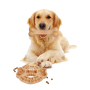 Manufacturer Wholesale Natural Rope pp Pet Product Dog Chew Toys