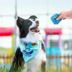 Wholesale Squeaky Cute Design Chew Dog Latex Toy