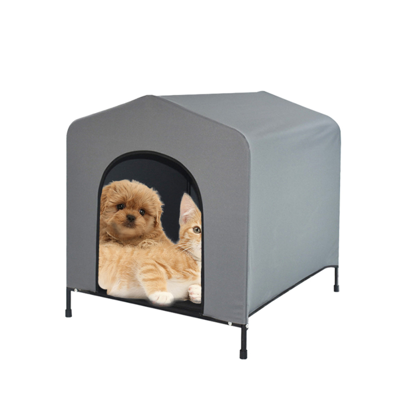 Manufacturer Wholesale Summer Design Pet Product Supplier Dog Bed Elevated