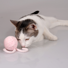 Manufacturer wholesale pink yellow grey cat plush ball toys