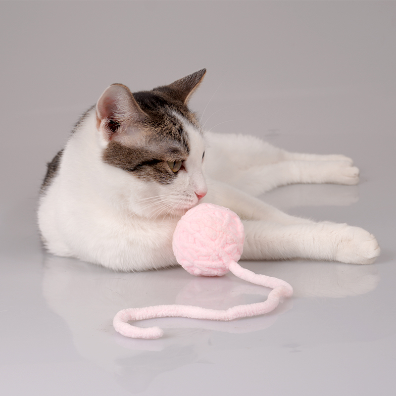 Manufacturer wholesale pink yellow grey cat plush ball toys