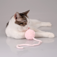 Manufacturer wholesale pink yellow grey cat plush ball toys