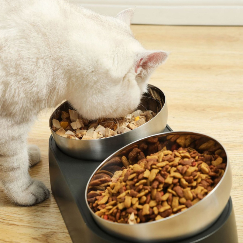 Wholesale Stainless Steel Single Two Dog Cat Elevated Bowls