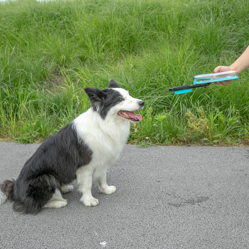 Manufacturer wholesale pink blue grey foldable dog water bottle portable
