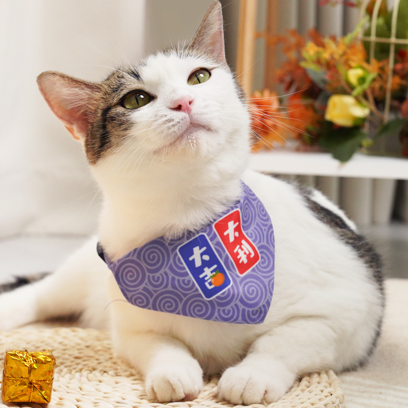 Manufacturer wholesale custom cotton adjustable cat accessories dog bandana collar