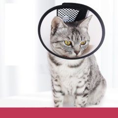 wholesale manufacturer healing protective more size cat elizabeth collar