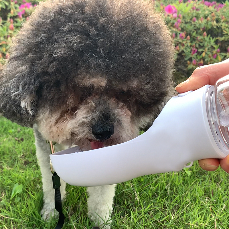 Manufacturer wholesale portable outdoor pet dog water bottle cheap material