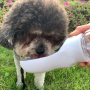 Manufacturer wholesale portable outdoor pet dog water bottle cheap material