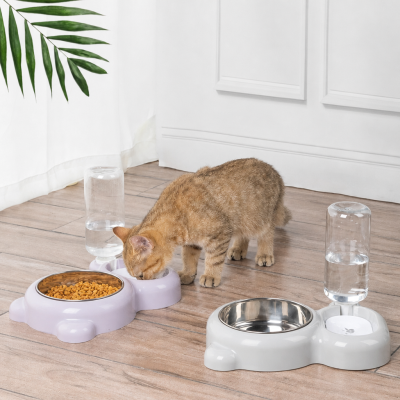 Wholesale Indoor Cat Dog Bowl with Bottle Dispenser
