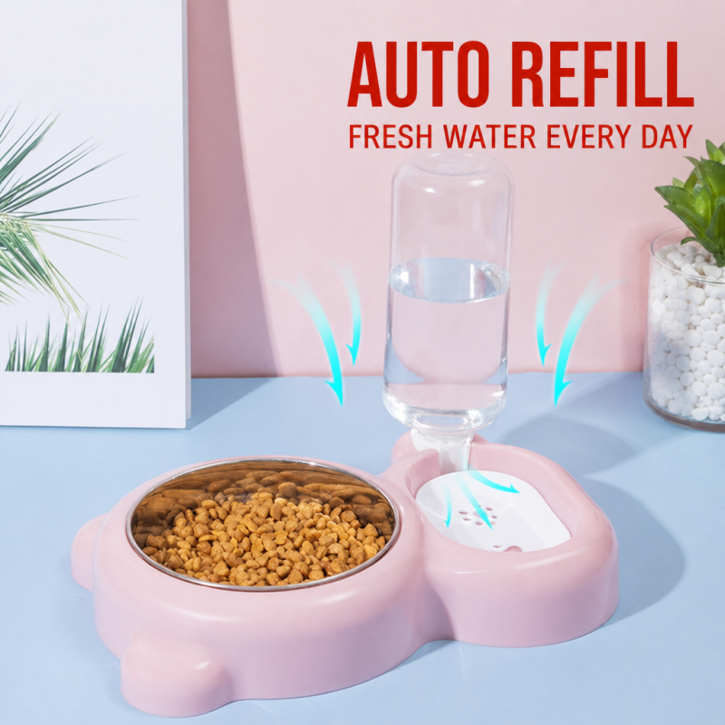 Wholesale Indoor Cat Dog Bowl with Bottle Dispenser