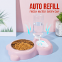 Wholesale Indoor Cat Dog Bowl with Bottle Dispenser