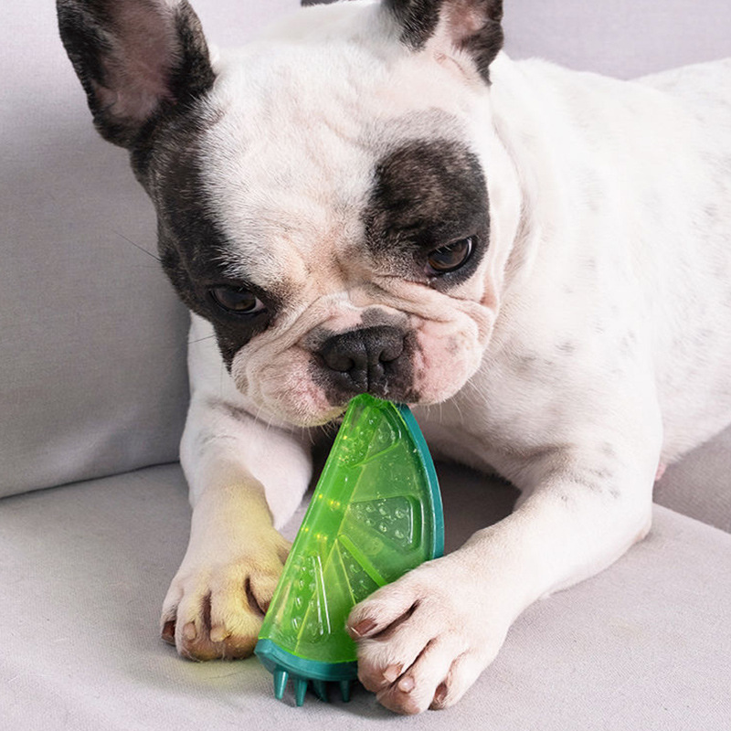 Manufacturer wholesale fruit watermelon lemon pineapple dog rubber toys
