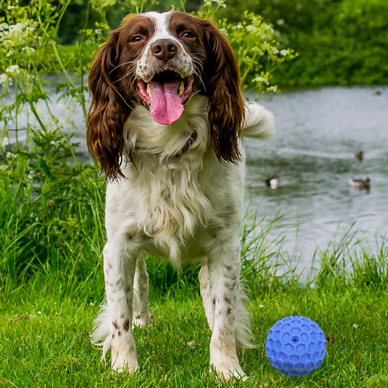 Wholesale Chew Rubber Dog Toy Ball