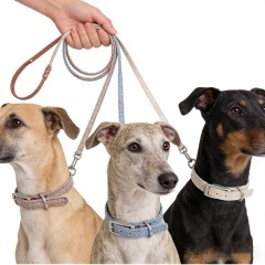 Wholesale Pet Product Supplier Dog Leash Custom