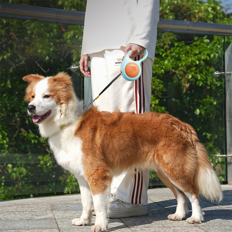 Wholesale 3M Outdoor Pet Supplier Retractable Dog Leash