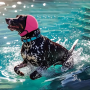 Wholesale Noise Protection Adjustable Dog Ear Muffs