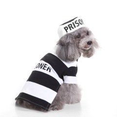 Manufacturer wholesale halloween unique design dog costume