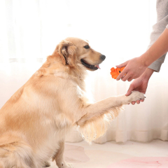 Manufacturer wholesale cute design squeaky dog latex toys