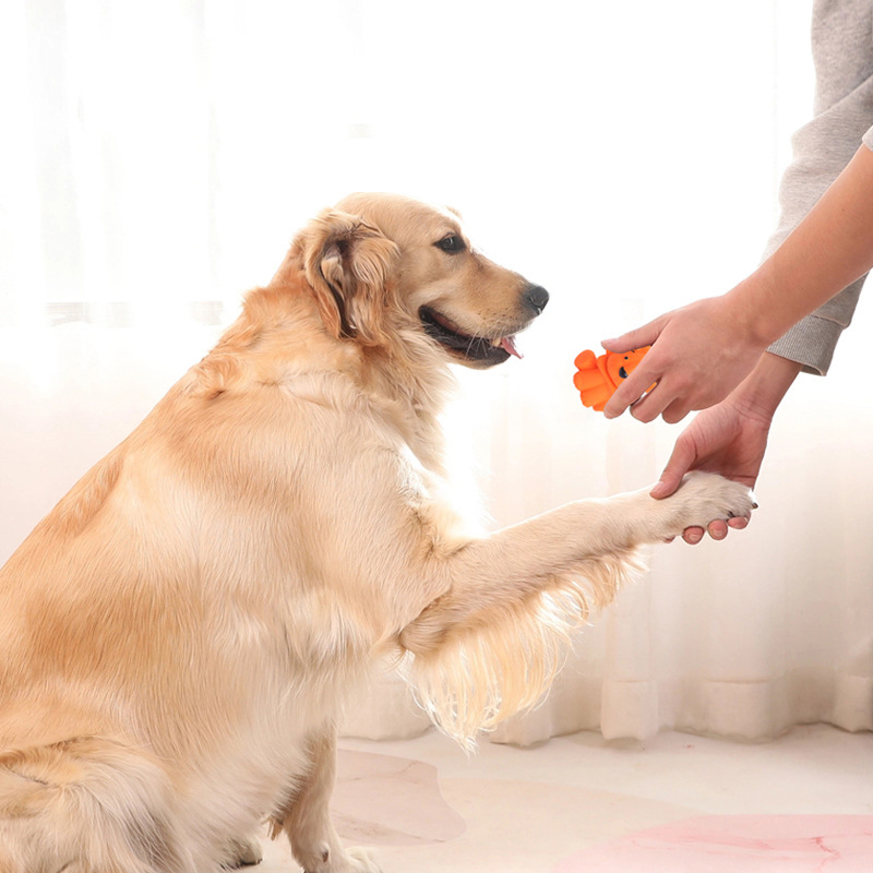 Manufacturer wholesale cute design squeaky dog latex toys