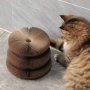 Manufacturer Wholesale Interactive Foldable Deformable Corrugated Cat Scratcher Cardboard