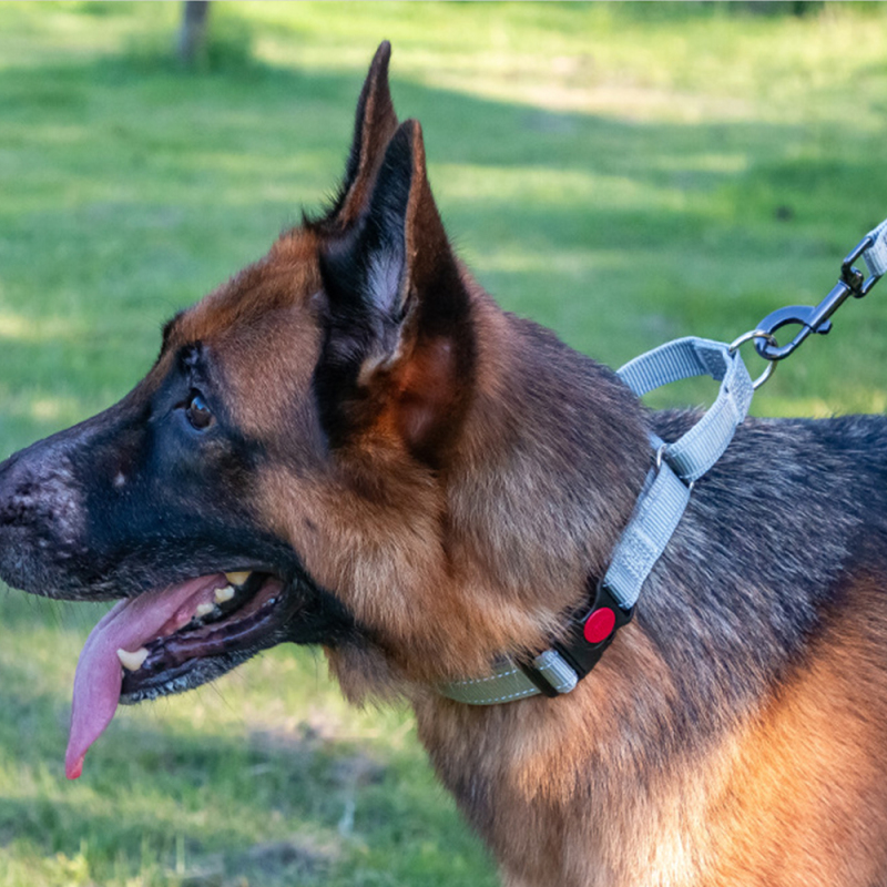 Wholesale Reflective Stripe Nylon Dog Collar Adjustable