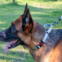 Wholesale Reflective Stripe Nylon Dog Collar Adjustable
