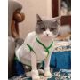Manufacturer wholesale white khaki warm winter dog coat clothes