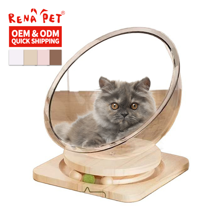 Wholesale Stable MDF Board Cat Bed With Ball