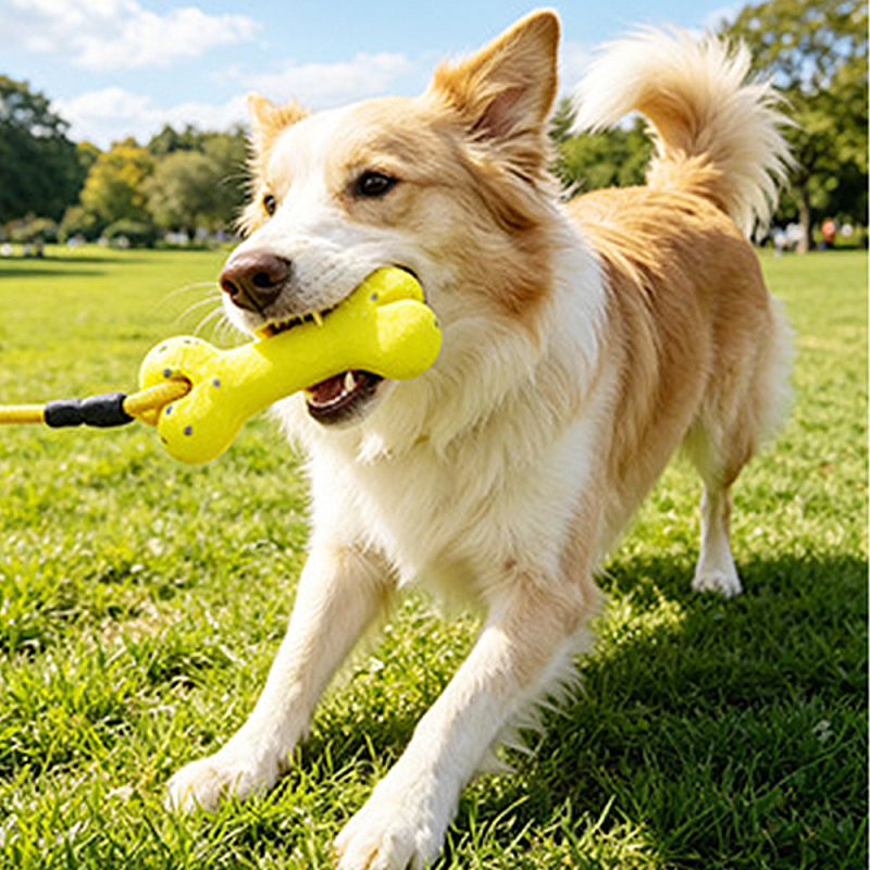 Wholesale Custom Logo ETPU Bone Chew Dog Rope Toy