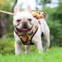 Wholesale Camouflage Dog Accessories Collar Leash Harness Poop Bag Dispenser Set