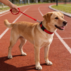 Wholesale Nylon Red Orange Pink Black Leashes for Dogs
