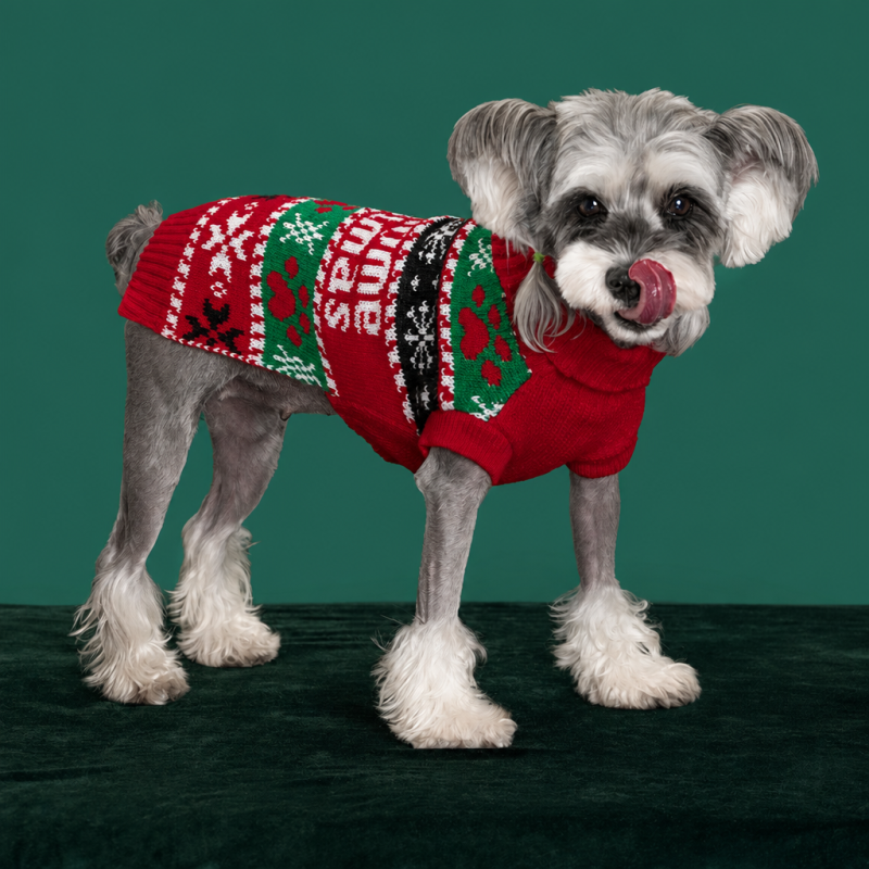 Wholesale Green Red Dog Christmas Sweater