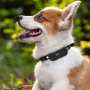 Wholesale USB Charging Tracker Pet Dog GPS Collar