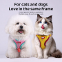 Wholesale Cheap Reflective Stripe Breathable Small Dog Cat Harness and Leash