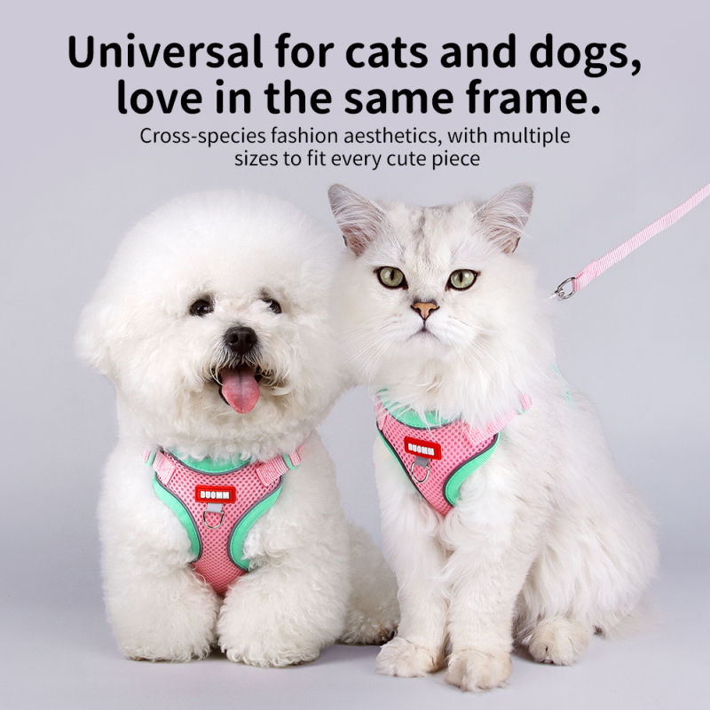 Wholesale Cheap Reflective Stripe Breathable Small Dog Cat Harness and Leash