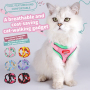 Wholesale Cheap Reflective Stripe Breathable Small Dog Cat Harness and Leash
