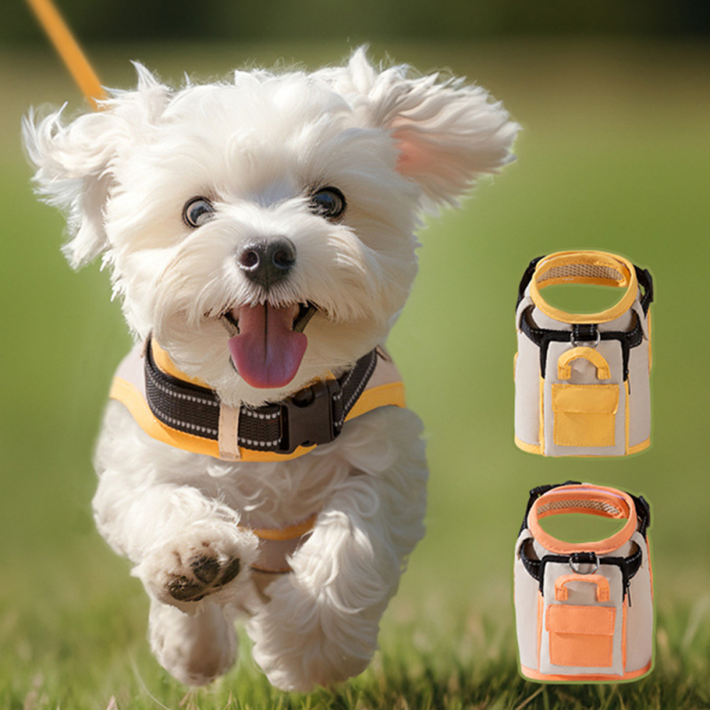 Manufacturer wholesale yellow pink dog harness with leash
