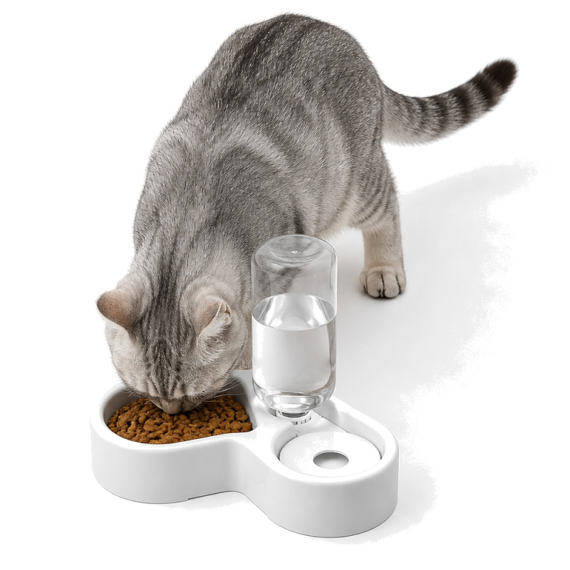 Wholesale Indoor Dog Cat Bowl with Bottle Dispenser