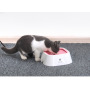 Manufacturer wholesale 1L float slow drinking no spill vehicle dog water bowl