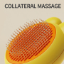 Manufacturer Wholesale Cute Design Cheap Dog Cat Brush with Ear
