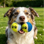 Wholesale Custom Logo Chew Dog Tennis Ball