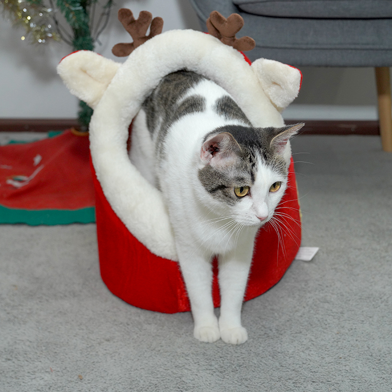 Manufacturer wholesale christmas red cat bed elk antlers design