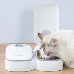 Manufacturer wholesale smart time control automatic pet dog two feeder bowls