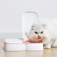 Manufacturer wholesale smart time control automatic pet dog two feeder bowls
