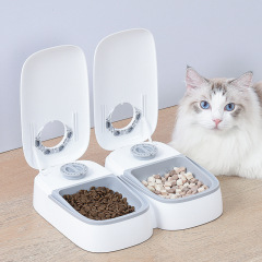 Manufacturer wholesale smart time control automatic pet dog two feeder bowls