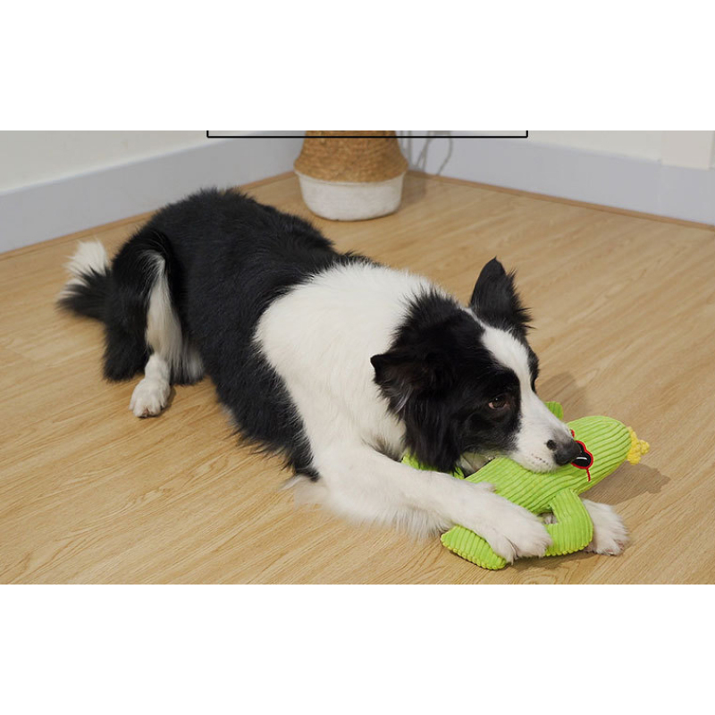 Manufacturer wholesale cute cucumber design bite resistant dog plush chew toy