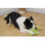 Manufacturer wholesale cute cucumber design bite resistant dog plush chew toy