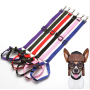 Manufacturer wholesale adjustable multi-colors nylon pet dog seat belt with collar